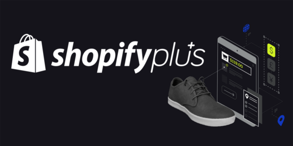 Shopify customize Checkout with Shopify Plus