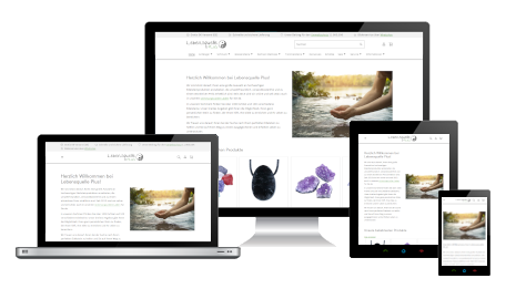 Our Shopify customer lebensquelle-plus.de